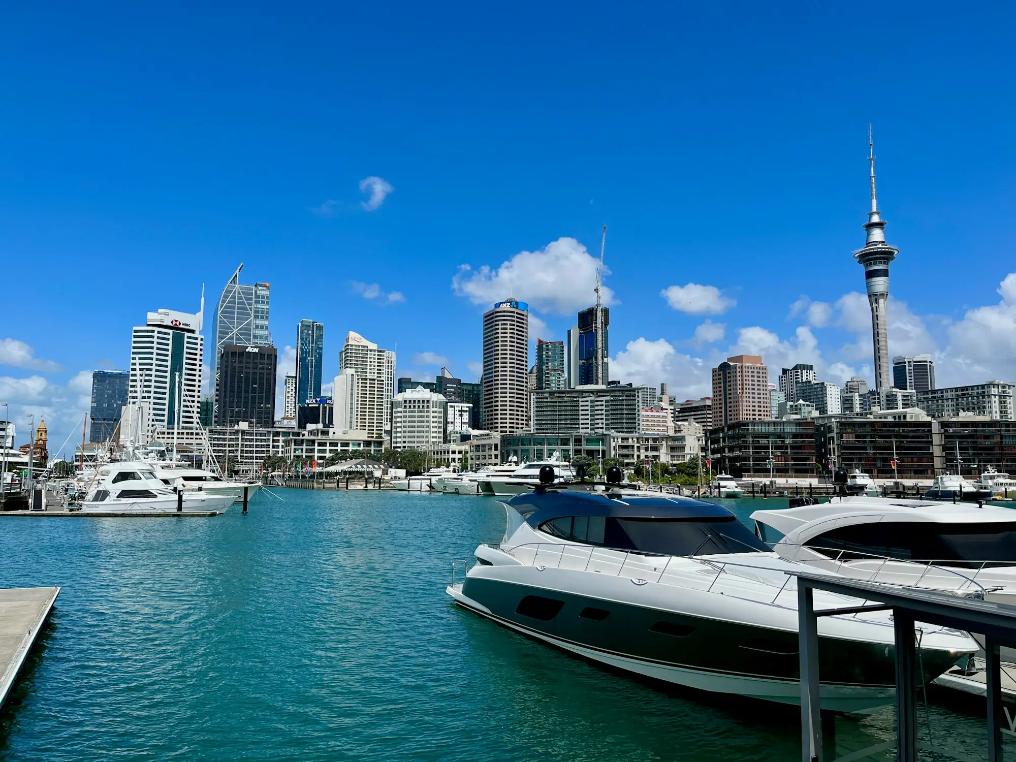 Marina full of boats with Auckland city behind