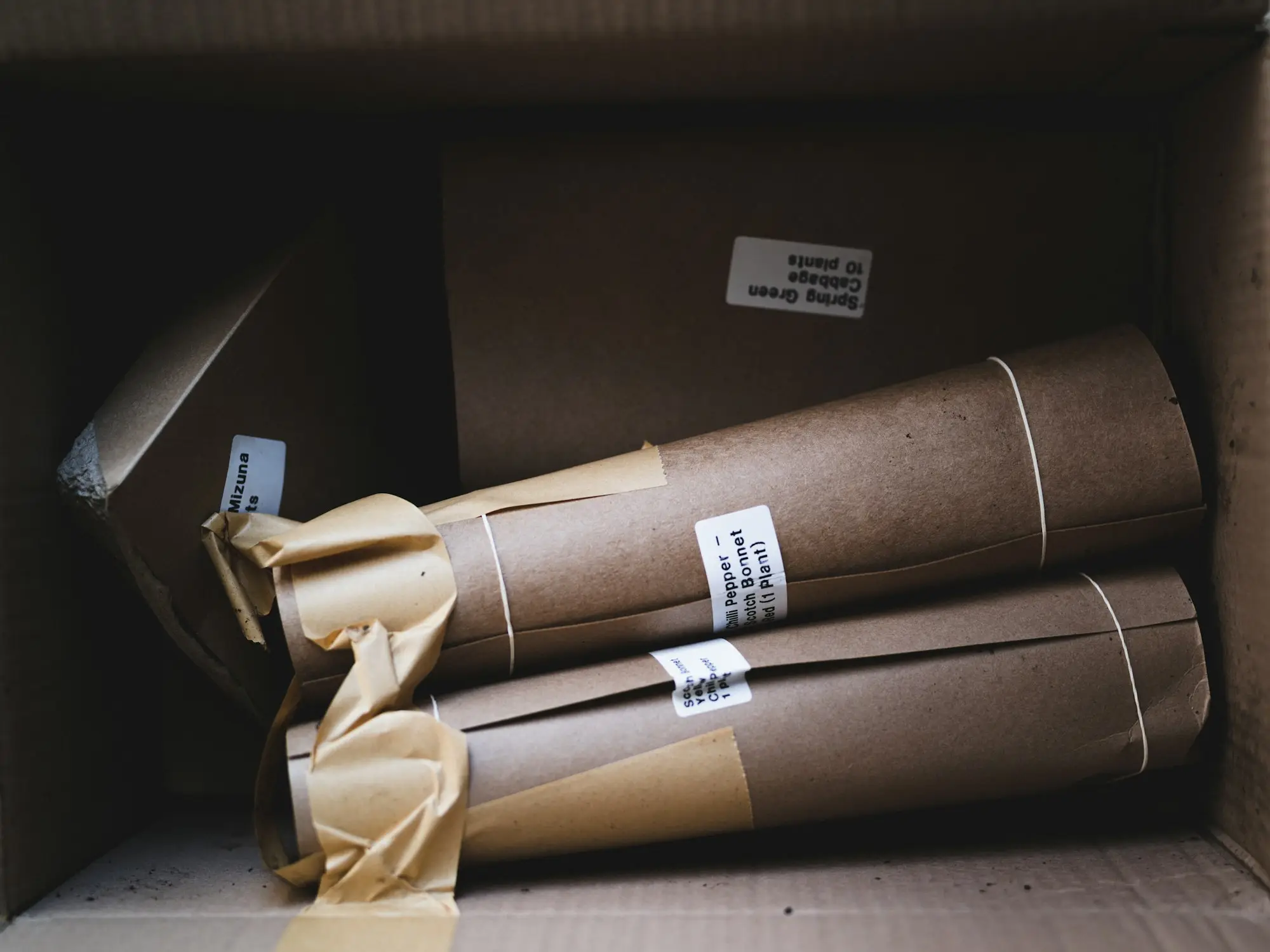 Brown paper bag ready for an online order